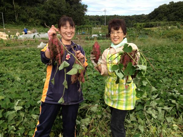 市民農園利用者の画像