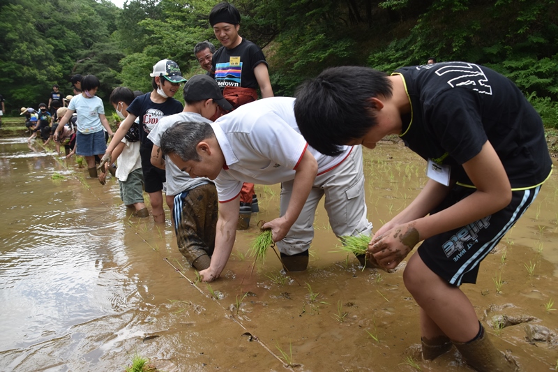 田植え１