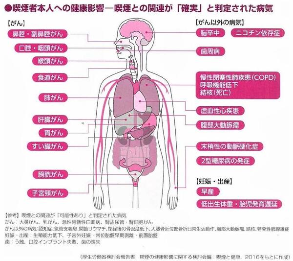 全身への影響