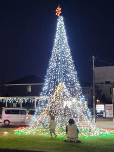 いるみ５