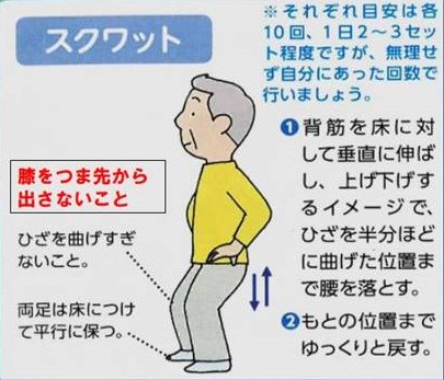 運動１１