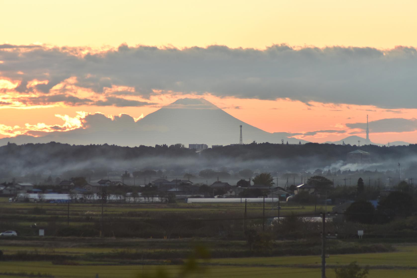 富士山